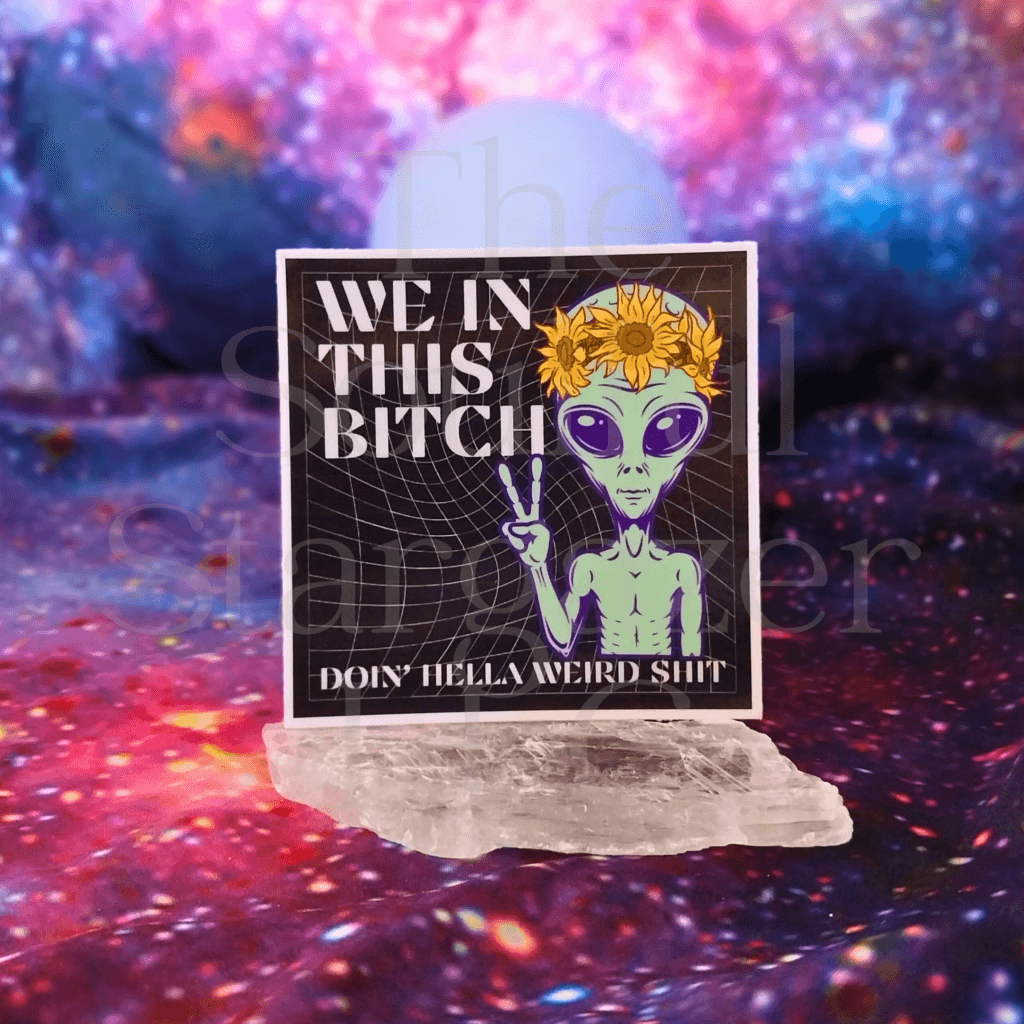 We In This Bitch Doin' Hella Weird Shit Sticker